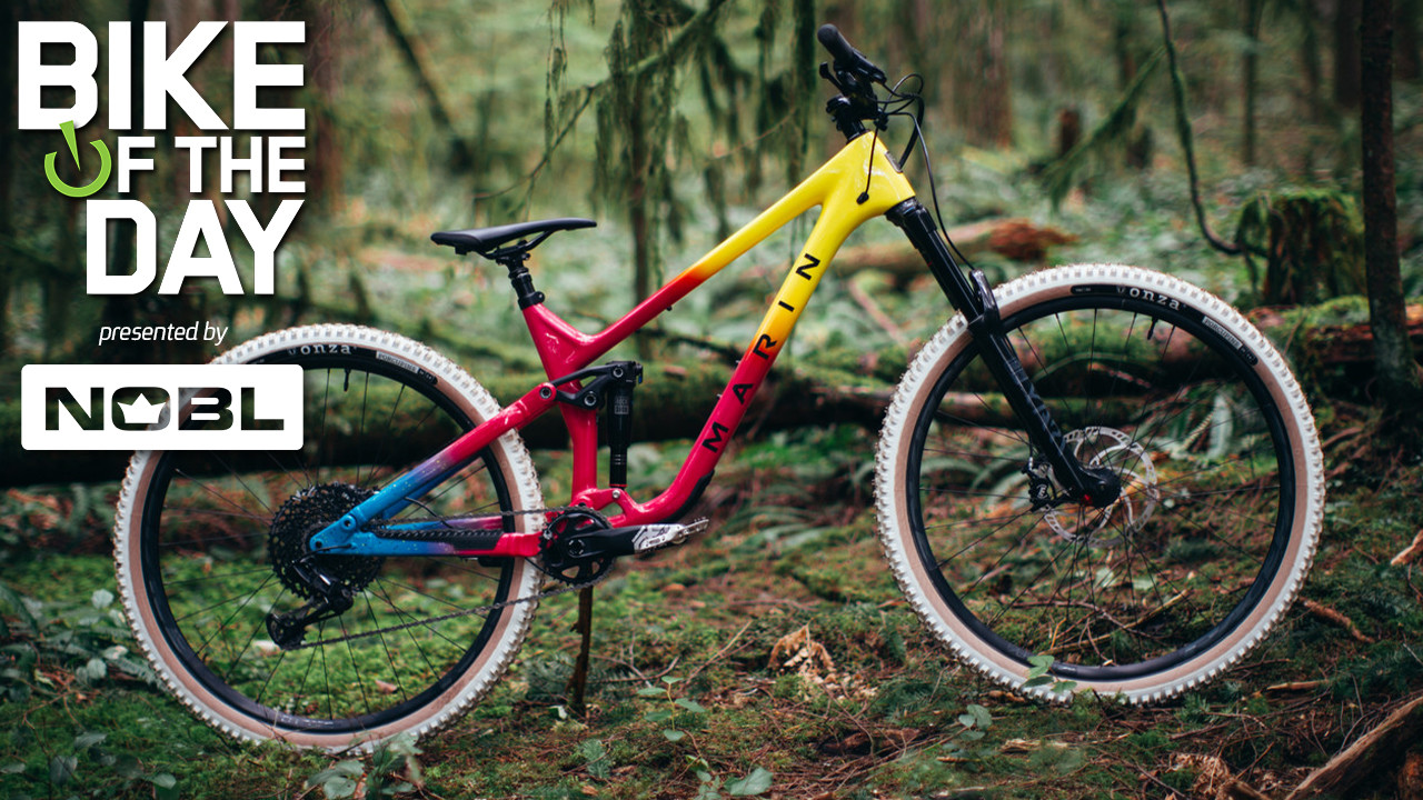 Limited Edition Marin Alpine Trail Carbon
